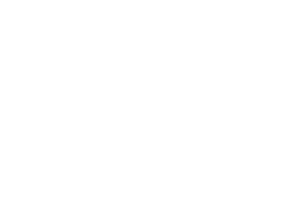 data4